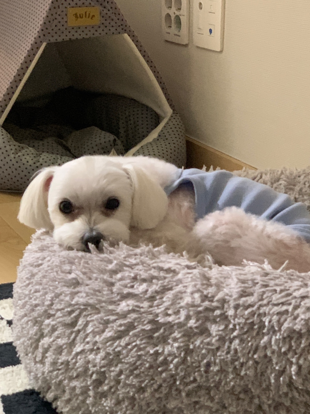 좋아요