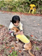 펫츠랜드 프렌즈티셔츠 옐로우