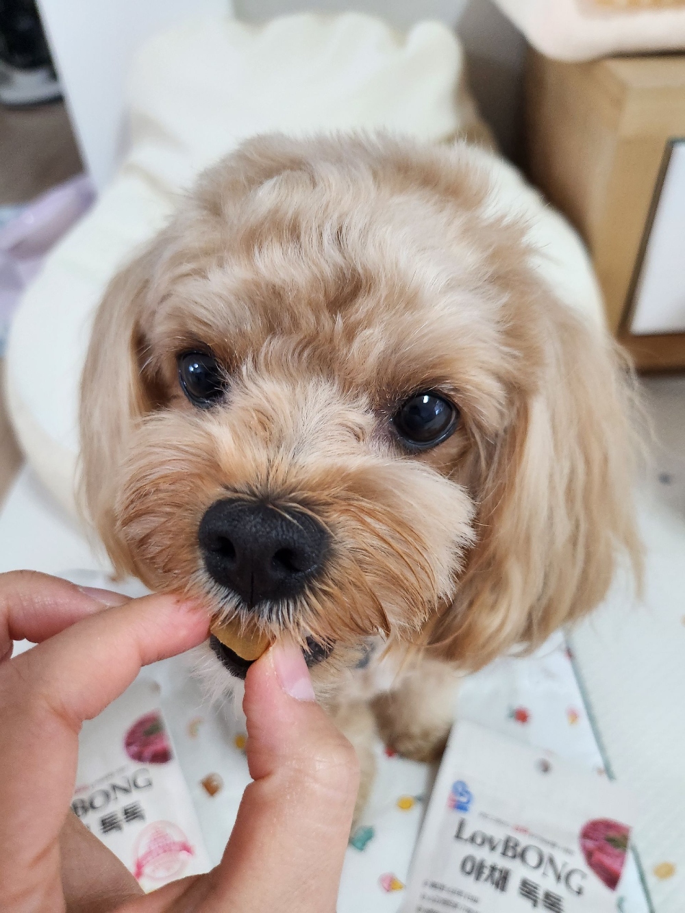 냠냠짭짭!잘먹어요.