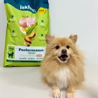 이즈칸 독 퍼포먼스 시니어 6.5kg