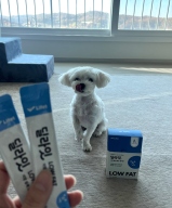 라이펫 딜라잇 low fat 췌장관리 스틱 15개입