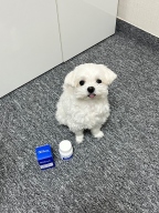 피터스랩 메디퍼트 플러스 웨이트컨트롤 30개입