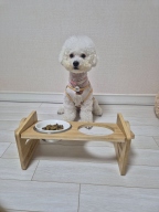 골드로니 매일맘마 오리 화식사료 1.2kg