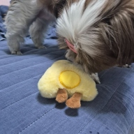 위드어스 해피데이 브런치카페 치즈