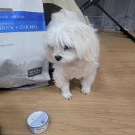 네츄럴코어 델리플러스 치킨 캔 눈건강 80g