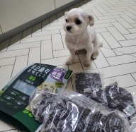 후코홀릭 인섹트 도그 체중 1kg