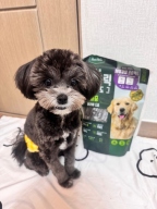 후코홀릭 인섹트 도그 체중 1kg
