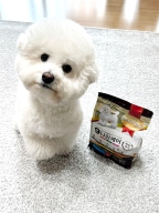 나인케어 체형관리 어덜트 1kg