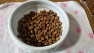 네츄럴코어 에코 4 오리고기 슬림다운 1kg