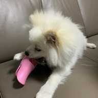 오리입마개 핑크