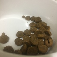 네이처스 버라이어티 인스팅트 치킨 1.8kg