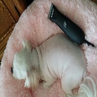 리케이 클리퍼 RK-1