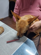 아스쿠 모정 소고기 저키 140g