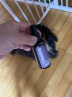 잠보아 펫 플라그리스 100ml