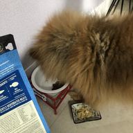 아보덤 조인트 헬스 그레인프리 4.7kg