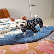 스니프 스트라이프 버디 터틀넥 올인원 네이비 S