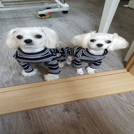 스니프 스트라이프 버디 터틀넥 올인원 네이비 S