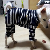 스니프 스트라이프 버디 터틀넥 올인원 네이비 S