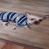 스니프 스트라이프 버디 터틀넥 올인원 네이비 S