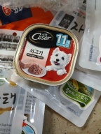 시저 11세이상 쇠고기 캔 100g