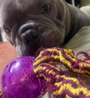 포와이즈 턱오플레이 공 퍼플