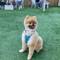 메이킷 네임택 목걸이 서클 로즈골드