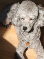 메이킷 네임택 목걸이 서클 로즈골드