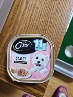 시저 11세이상 2가지맛 (쇠고기, 닭고기) 캔 24개입