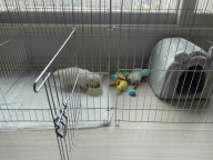 울리 바니펫 하우스 그레이