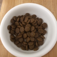 아카나 어덜트 독 11.4kg
