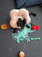 핸들러 사운드토이 삐삐