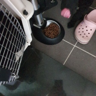 이즈칸 파이브케어 2.1kg