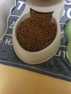뉴트리나 건강백서 말티즈 10.2kg