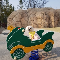 이츠독 마이퍼피 하네스 옐로우