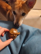 개님의 껌 가든레인져 2개입 L