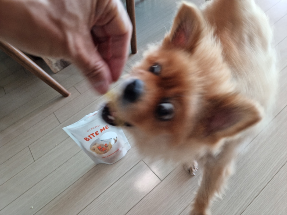 토리는 좋아하는데..