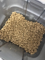 하림펫푸드 더리얼 그레인프리 크런치 연어 어덜트 1.6kg