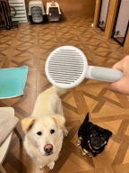 세이치 반려동물 원터치 브러쉬 그레이