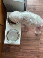 스튜디오얼라이브 달빛식기2 화이트 식기 2구