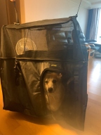 라이칸 털날림방지 방수 올커버 애견 카시트 중형