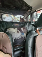 라이칸 털날림방지 방수 올커버 애견 카시트 대형