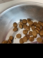 어드밴스 독 어덜트 미니 3kg