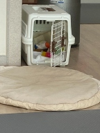 아이리스 에어트레블 캐리어 ATC-530 화이트