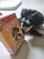 슈퍼포우 동결건조 사료 연어첵스