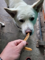 [유통기한 25.07.22] 네츄럴코어 구운 치킨 슬라이스 L 70g