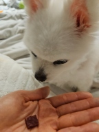 페페로니 자른 육포 말고기 70g