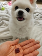 페페로니 자른 육포 말고기 70g