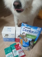 닥터웰릿 아이즈 이케어 츄 32개입