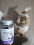 포켄스 뉴트리션 트릿 미니 눈&눈물 168g