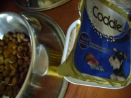 아카나 퍼피 6kg